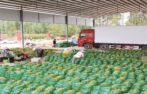 以“三个融合”为抓手，推动乡村生态振兴与初级农产品收购协同发展